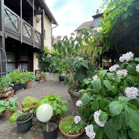 Apartment Gerberbachviertel Вайнхайм Екстериор снимка