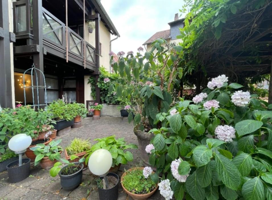 Apartment Gerberbachviertel Вайнхайм Екстериор снимка